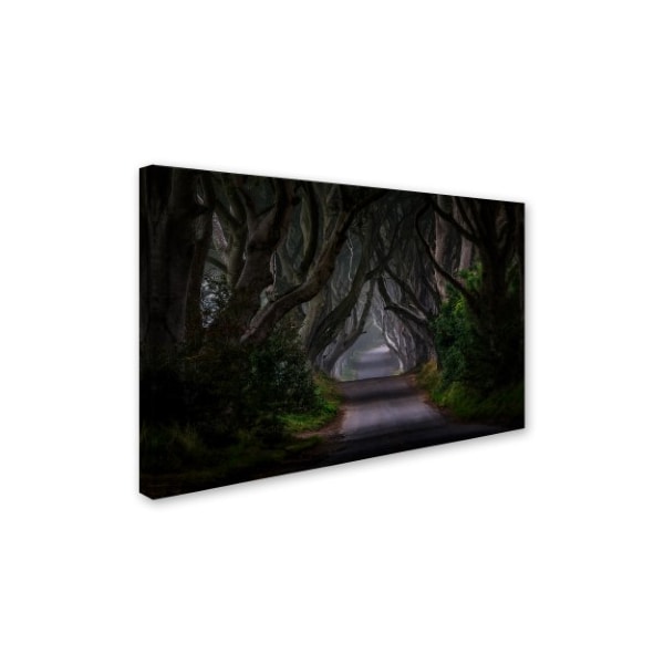 Piotr Galus 'Magic Road' Canvas Art,30x47